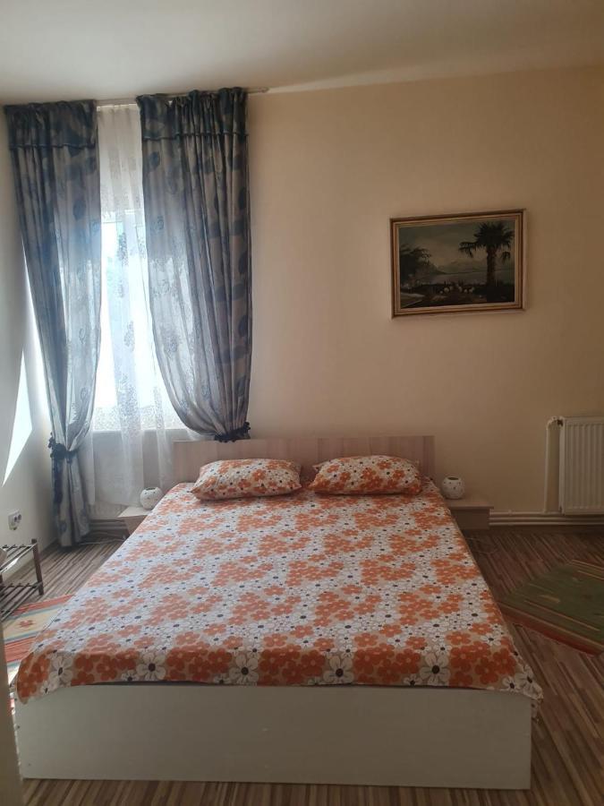 Relax Haus Hotel Hunedoara Exterior foto